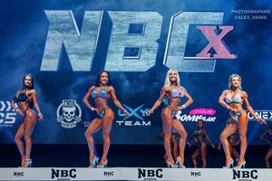 BIKINI НОВИЧКИ 164